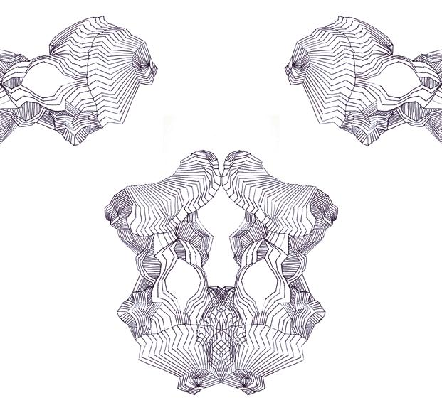 No. 9, 'anti' or 'fearful symmetry' series (click on image for animation) No. 9, 'anti' or 'fearful symmetry' series (click on image for animation)