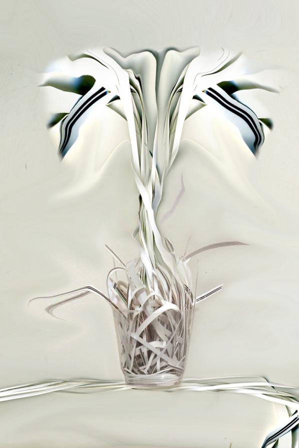 pianta diventa carta, carta ritorna pianta.