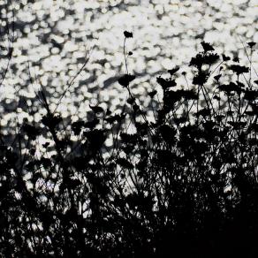 Mi confondo, quando penso all'amore 