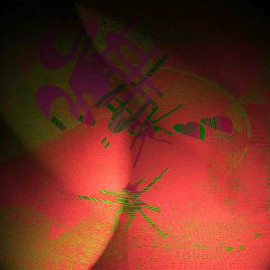 Spider on the Horn of Africa