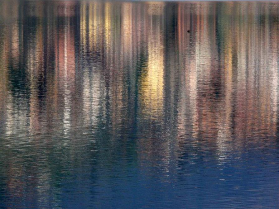  " LUCI  E  COLORI  DELLA  BRIANZA  " 