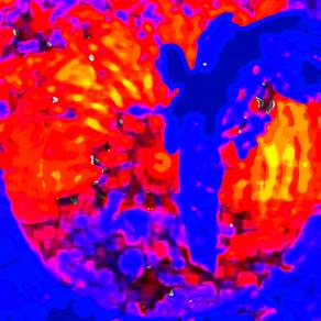 NON SI MANIFESTANO PER CASO NELLA TUA VITA !!!