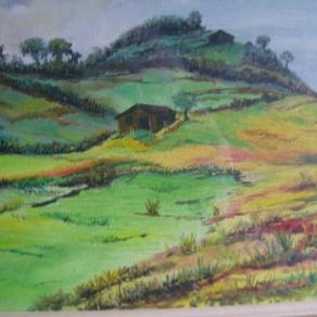 LG 0123 - Campagna di Lunigiana - Toscana