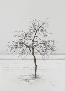 Marta Zgierska - Post