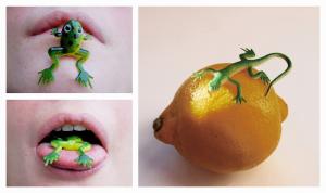 Meri Ciuchi - IMPULSO VOLITIVO 