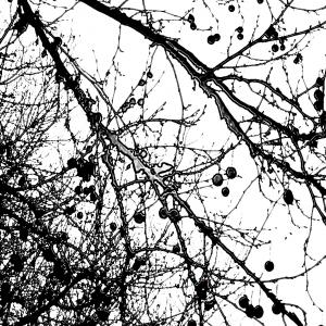 Cicatrici nel cielo6, SC-art Cicatrici nel cielo6, SC-art