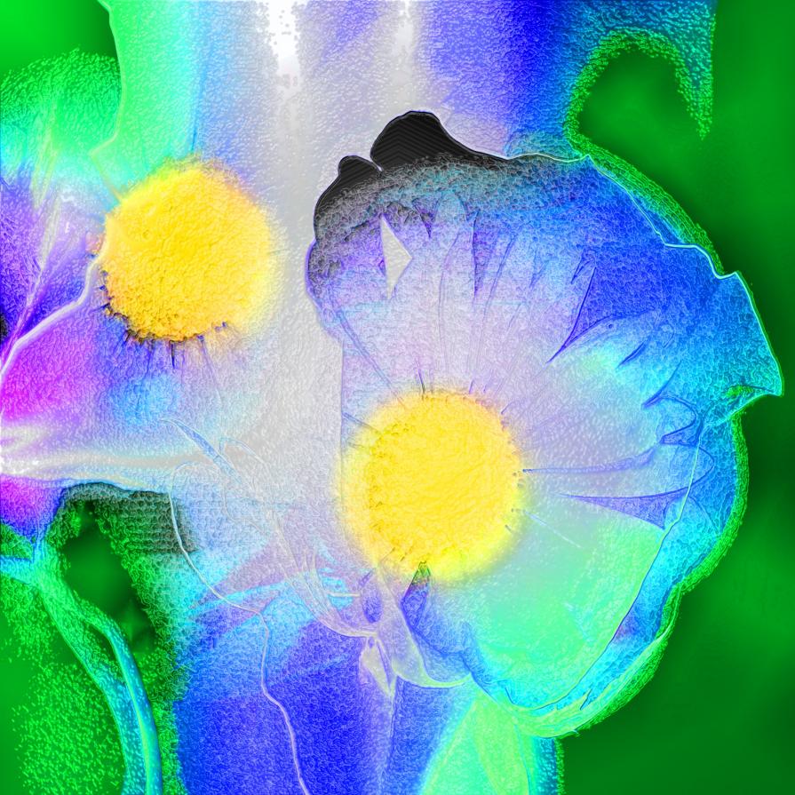 E poi coi secchi di vernice coloriamo tutti i muri Case, vicoli e palazzi, perché lei ama i colori E poi coi secchi di vernice coloriamo tutti i muri Case, vicoli e palazzi, perché lei ama i colori