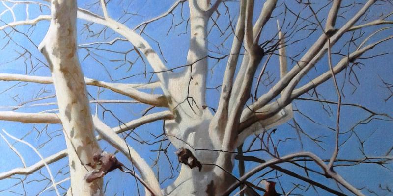 concorso artistico culturale concorso artistico culturale