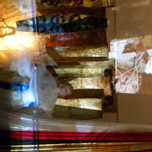 libro LA SIBILLA DI GERUSALEMME di Rosa Didonna libro LA SIBILLA DI GERUSALEMME di Rosa Didonna