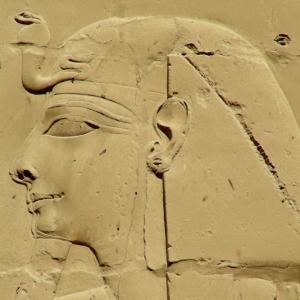 Egitto. Luxor e Marsa Alam