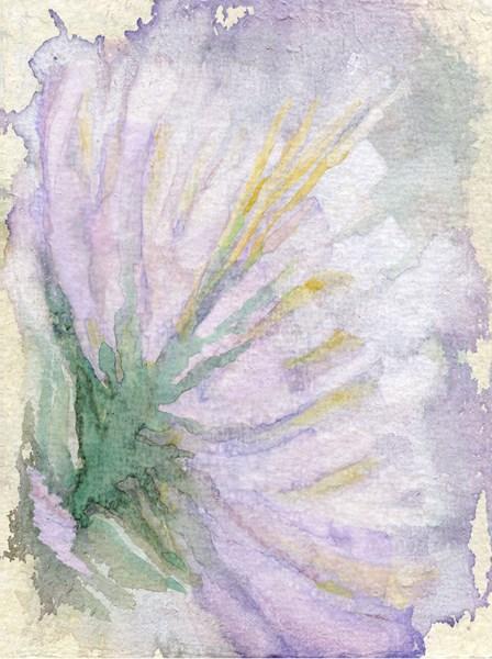 Giovanna Lionetti, Fiori di luce