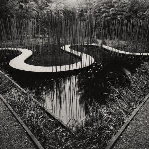 Luigi Menozzi. Intrepidi intrecci