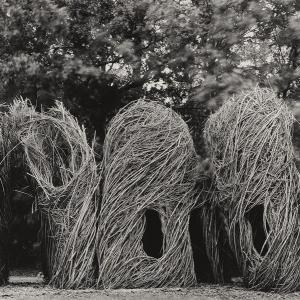 Luigi Menozzi. Intrepidi intrecci