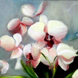 Natura:Luci e Ombre a Modena.