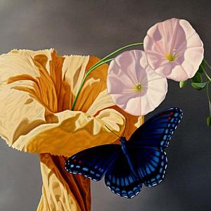 Natura:Luci e Ombre a Modena.