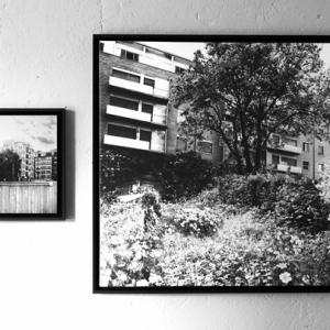 Pietro Iori, Risorta