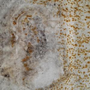 IL VIAGGIO IL VIAGGIO