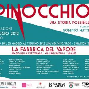 Pinocchio, una storia possibile.