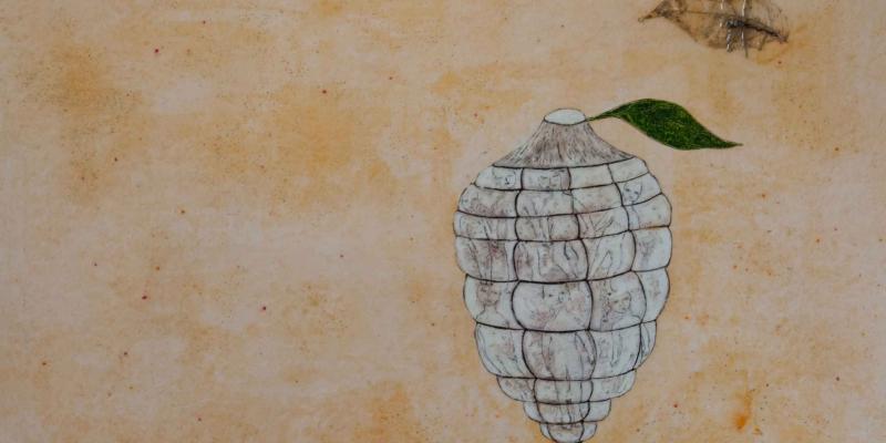 CLAUDIA ZURIATO "Sognai che sognavo un sogno" CLAUDIA ZURIATO "Sognai che sognavo un sogno"