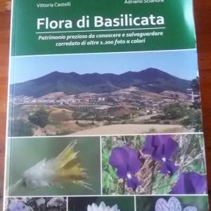 FLORA DI BASILICATA: presentazione a Forenza - sabato 4 giugno 2016 - ore 19,00 -  “Masserie del Falco” - Il Borgo delle Emozioni - Contrada Reddito degli Angeli - 