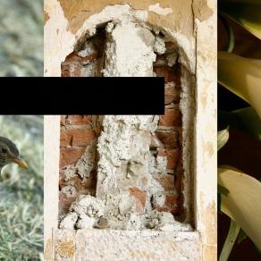 in riva al lago azzurro della vita .. son corpi le nuvole bianche