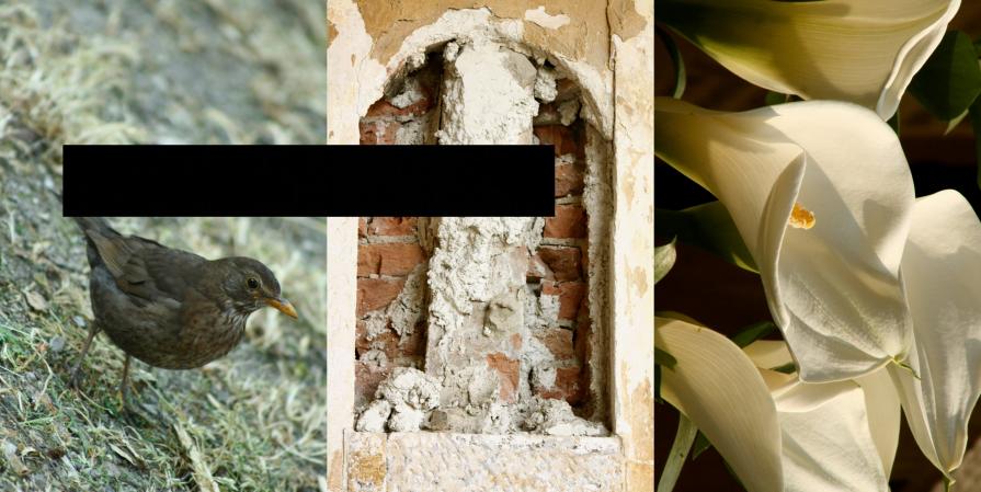 in riva al lago azzurro della vita .. son corpi le nuvole bianche