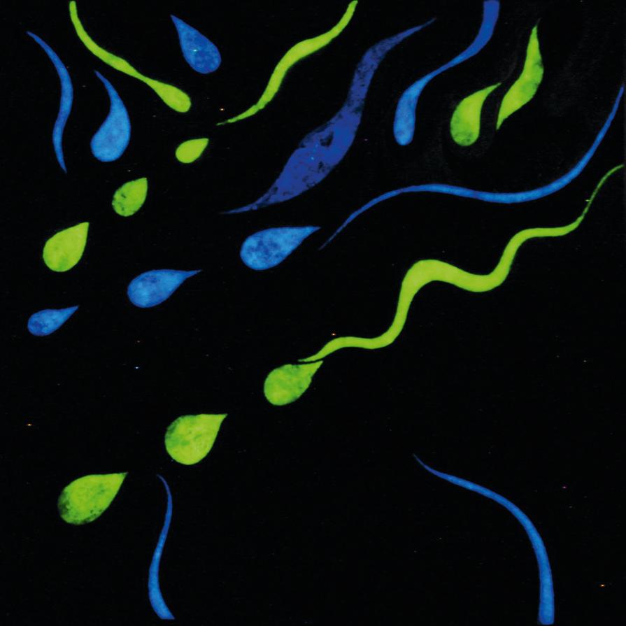 Liturgie de cristal (Olivier Messiaen) (opera al buio) Liturgie de cristal (Olivier Messiaen) (opera al buio)