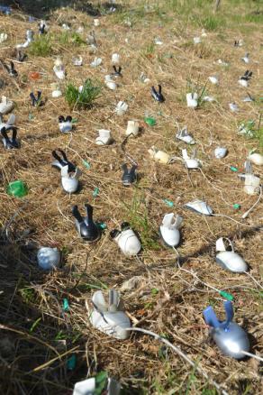 ESCAPE! Fuga dal Pifferaio Magico