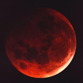 Mitchell Poor and the Strenia