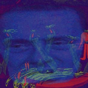 Berli 6 er Pack, berli: pacco da 6, 