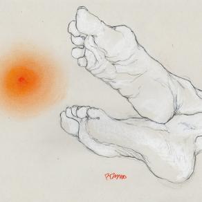 le solei (da una foto Bottura)