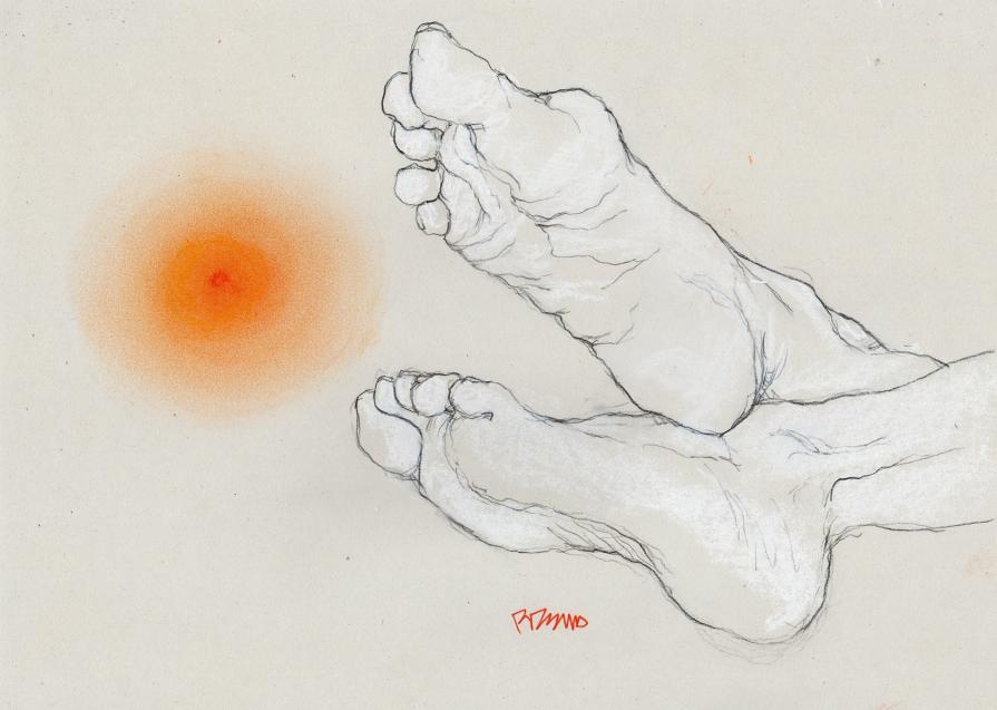 le solei (da una foto Bottura)