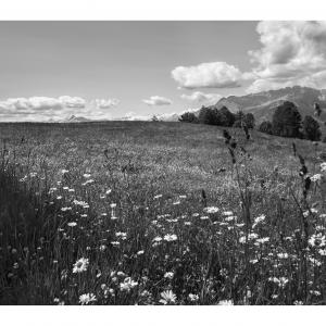 Immagine - Tout simplement ... Famille rurale - Ho scelto il Paradiso