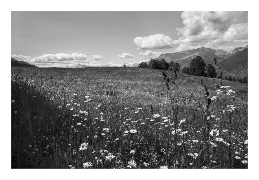 Immagine - Tout simplement ... Famille rurale - Ho scelto il Paradiso