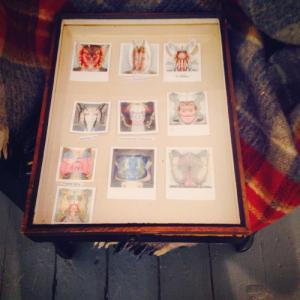 How the images look in the Butterfly display case 2