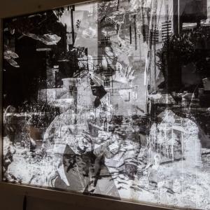 Lateral View Lateral View