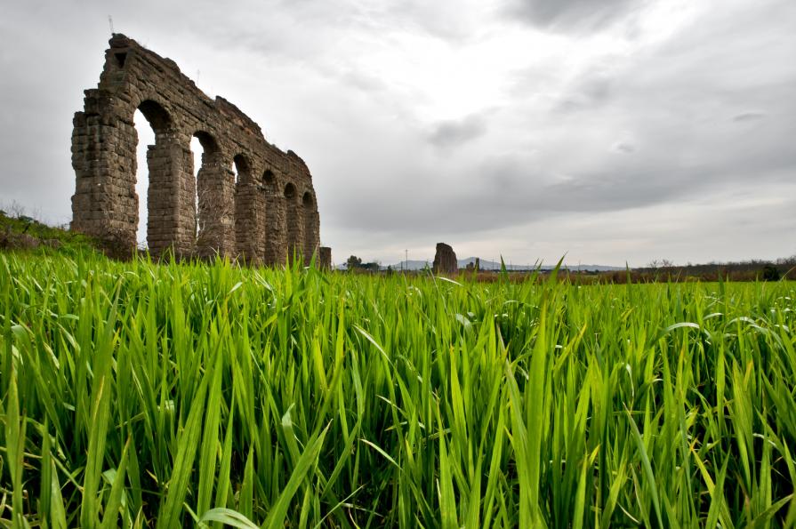 L'erba, il vento e il tempo passato