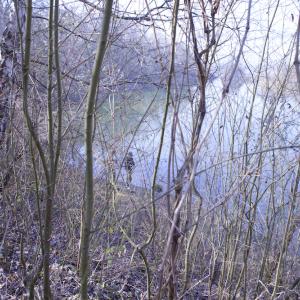 What are you Fishing for?