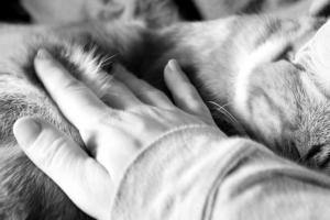 Debora Gobbo - Tenerezza