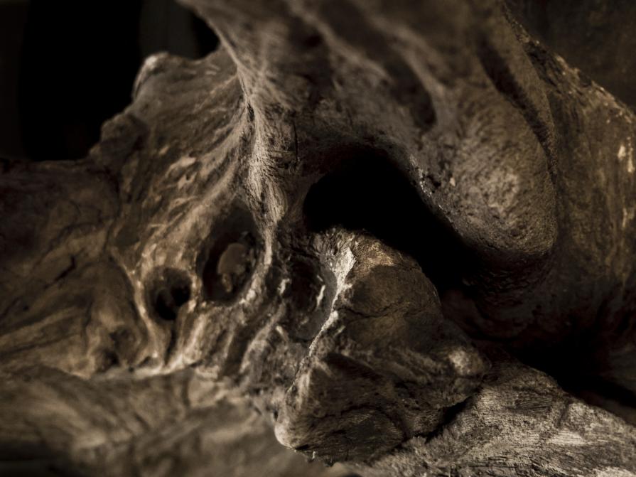 AGUAS ABAJO / DOWNSTREAM