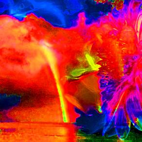 Spalanco il Cuore alla Vita per sorprendermi delle piccole cose !!!!