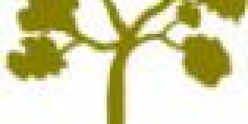 PREMIO MERLINO PREMIO MERLINO