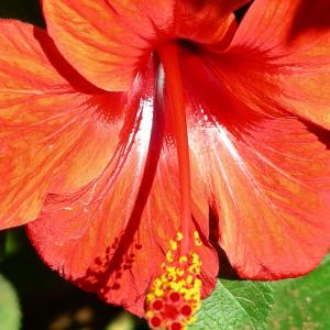 Italia. Sicilia, Trapani blu e sale