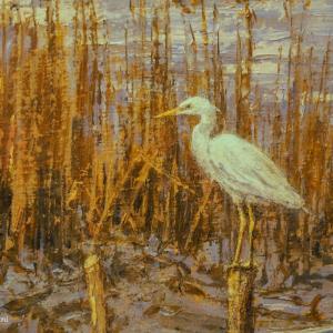 TRA PAESAGGI E CITTà AL CLUB MERIDIANA