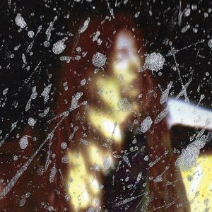 ANNELIES STRBA AND ADRIAN SCHIESS: COLLABORATION