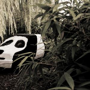 ZOOMaginario: un contest "bestiale"