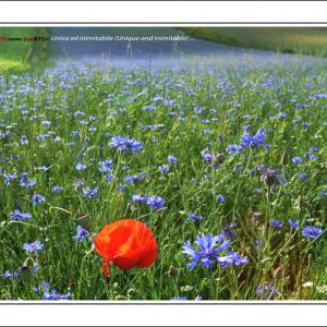 EXPERIMENTS - ART EXPERTISE