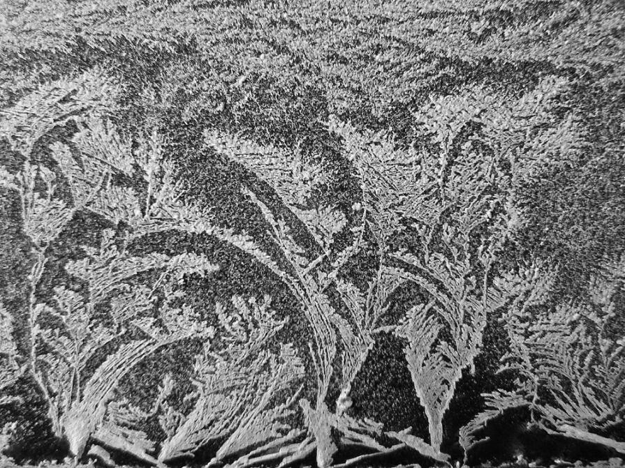 Naturalismo ancestrale