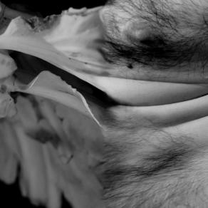 diversi elementi,simili forme