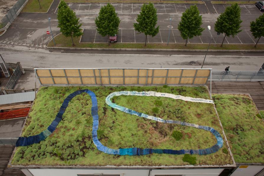 Onda Anomala Onda Anomala